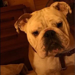 Meet your Posher, Dee